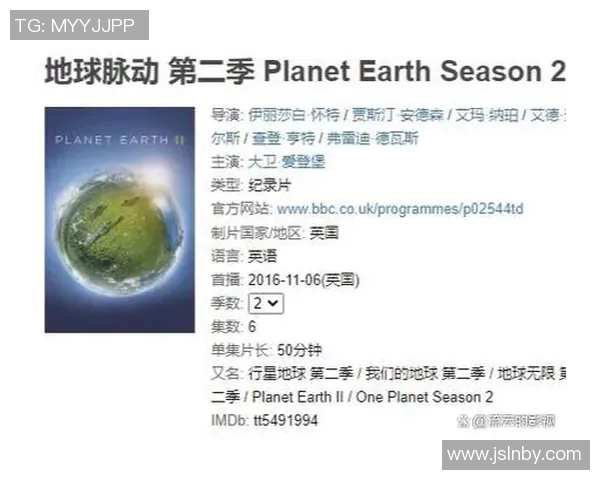 王强畅谈个人成长与CSGO职业生涯的精彩瞬间与挑战